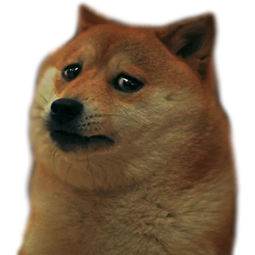 😞 Стикер «AnimalPhotoEmoji» для Telegram
