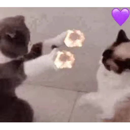 🐶 Стикер «Animals Животные» для Telegram