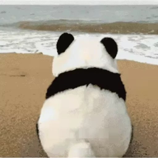 🐶 Стикер «Animals Животные» для Telegram