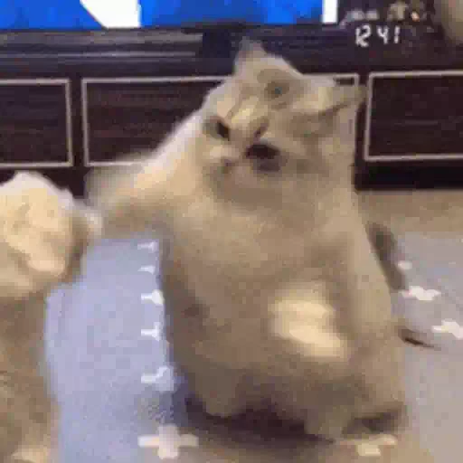 🐶 Стикер «Animals Животные» для Telegram