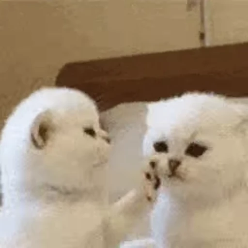 🐈 Стикер «Animals Животные» для Telegram