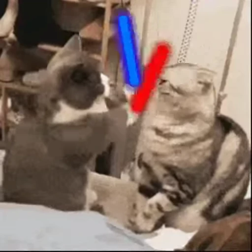 😼 Стикер «Animals Животные» для Telegram