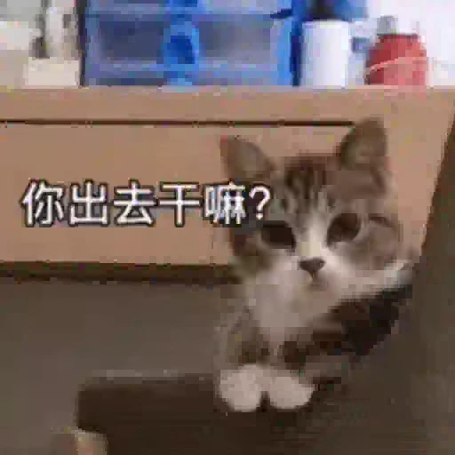 🐈 Стикер «Animals Животные» для Telegram