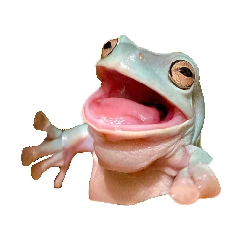 😄 Стикер «Animals world» для Telegram
