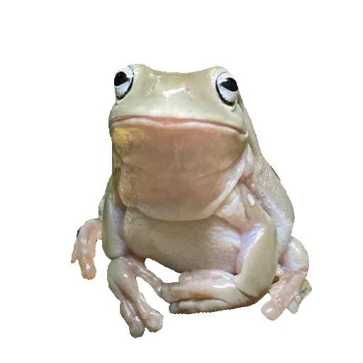 😐 Стикер «Animals world» для Telegram