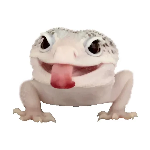 😝 Стикер «Animals world» для Telegram