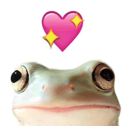 💖 Стикер «Animals world» для Telegram