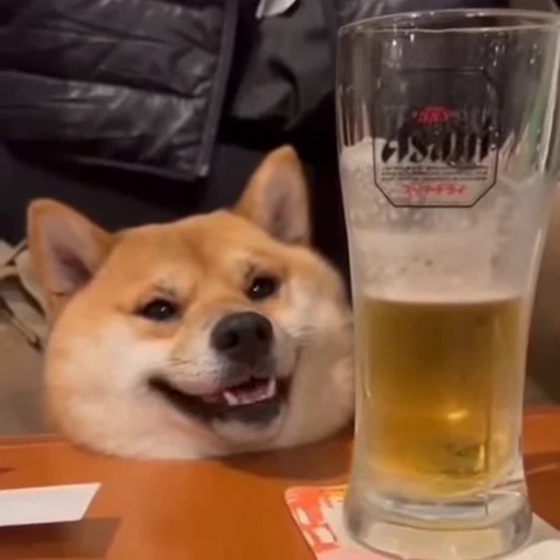 🍺 Стикер «animals yes» для Telegram