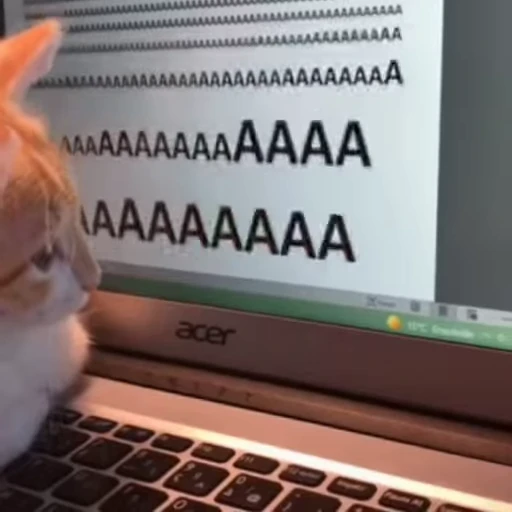 ⌨️ Стикер «animals yes» для Telegram