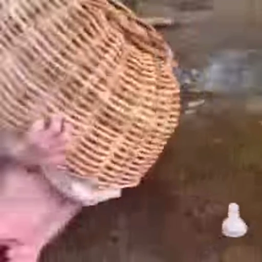 👶 Стикер «animals yes» для Telegram