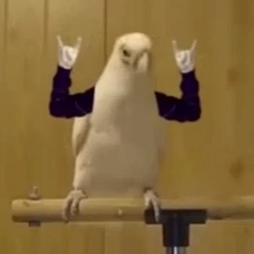 😎 Стикер «animals yes» для Telegram