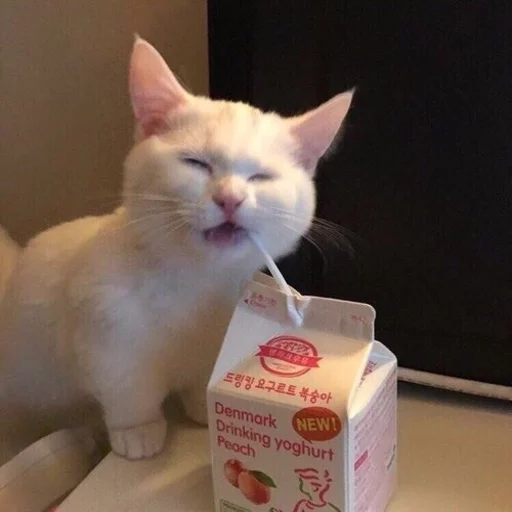 😂 Стикер «Pets Memes» для Telegram