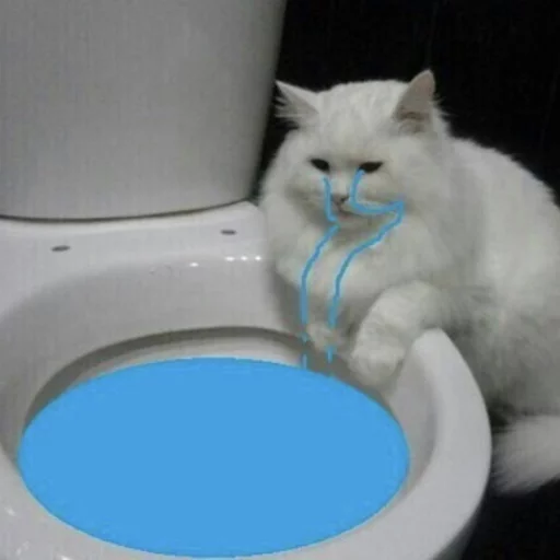 😂 Стикер «Pets Memes» для Telegram