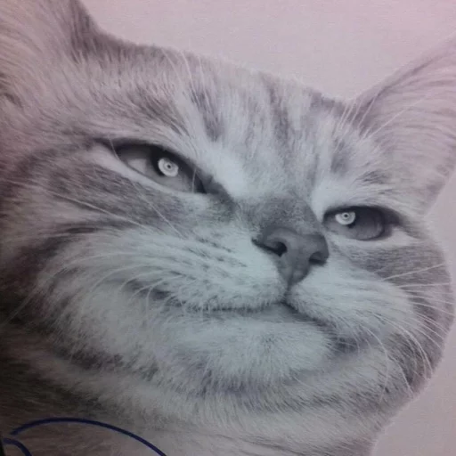 😂 Стикер «Pets Memes» для Telegram