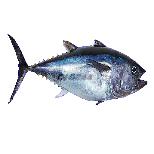 🐟 Стикер «ANIMALS EMOJI» для Telegram