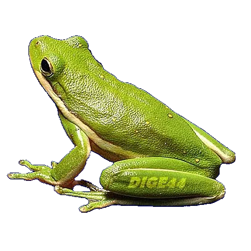 🐸 Стикер «ANIMALS EMOJI» для Telegram