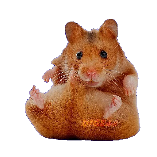 🐹 Стикер «ANIMALS EMOJI» для Telegram