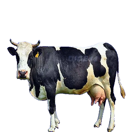 🐄 Стикер «ANIMALS EMOJI» для Telegram