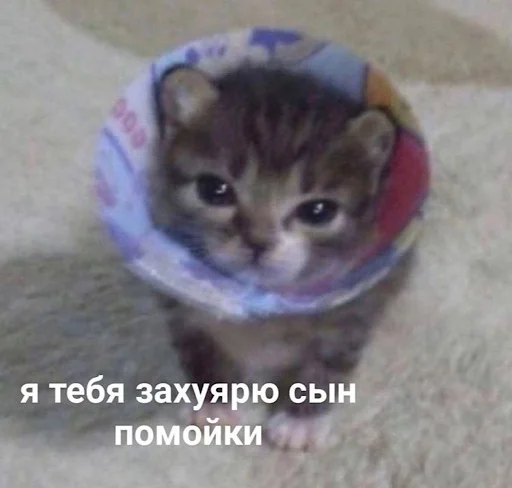 🤪 Стикер «ебучие животные» для Telegram