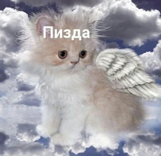 ☺️ Стикер «ебучие животные» для Telegram