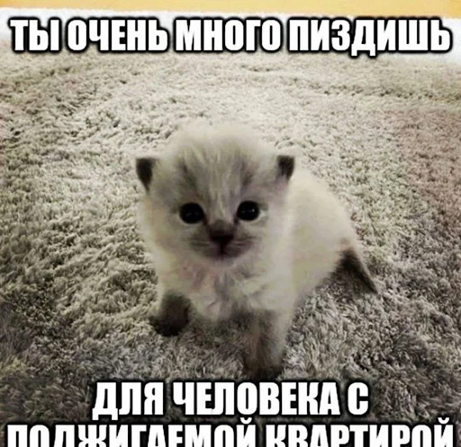 🙁 Стикер «ебучие животные» для Telegram