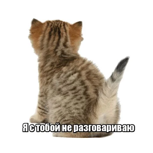 🥸 Стикер «ебучие животные» для Telegram
