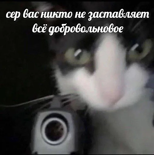 🙂 Стикер «ебучие животные» для Telegram