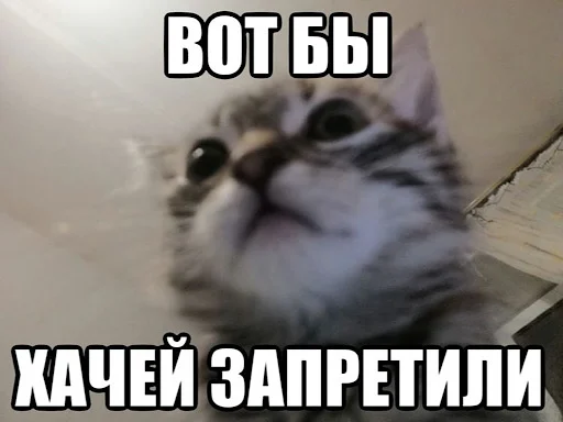 🥳 Стикер «ебучие животные» для Telegram
