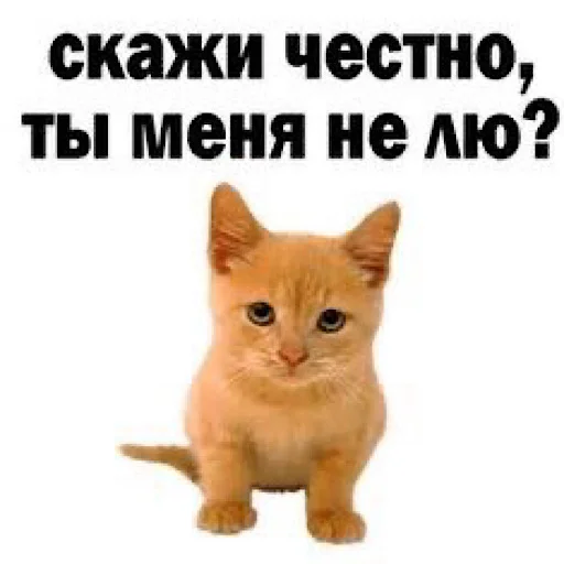 🤐 Стикер «ебучие животные» для Telegram