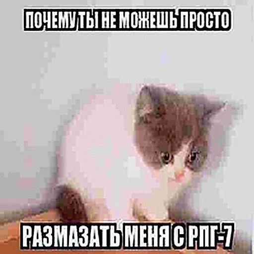 🫤 Стикер «ебучие животные» для Telegram
