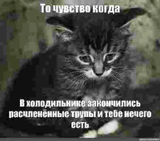 ☹️ Стикер «ебучие животные» для Telegram