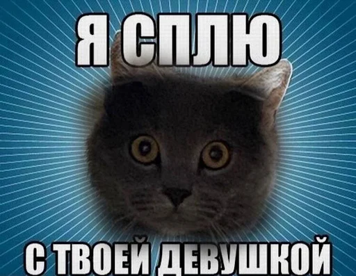 😇 Стикер «ебучие животные» для Telegram
