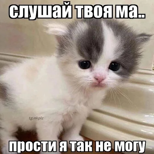 😪 Стикер «ебучие животные» для Telegram