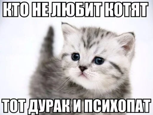 🤥 Стикер «ебучие животные» для Telegram