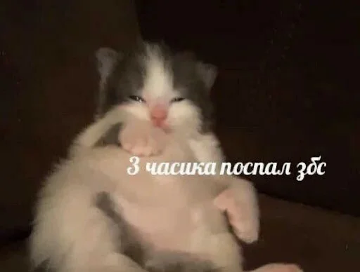 😤 Стикер «ебучие животные» для Telegram