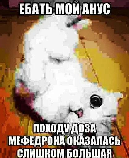 😮 Стикер «ебучие животные» для Telegram
