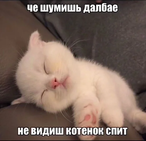 😎 Стикер «ебучие животные» для Telegram