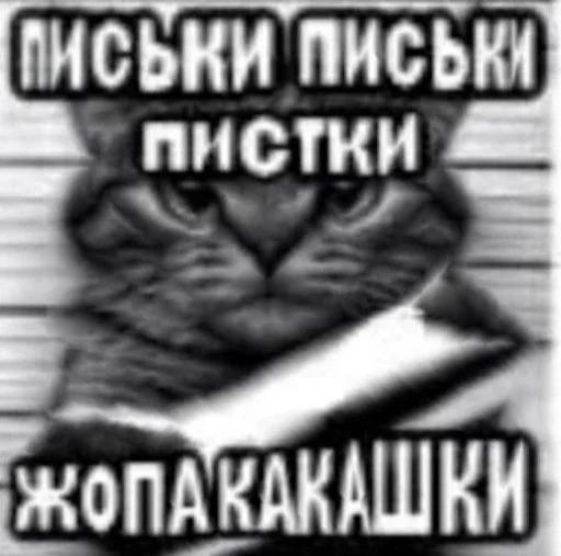 🫣 Стикер «ебучие животные» для Telegram
