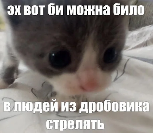 😦 Стикер «ебучие животные» для Telegram