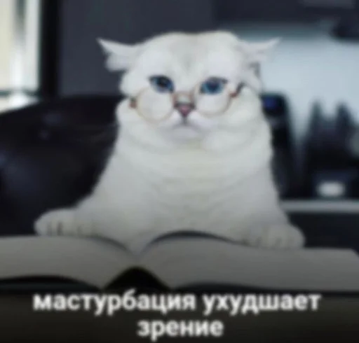 👀 Стикер «ебучие животные» для Telegram