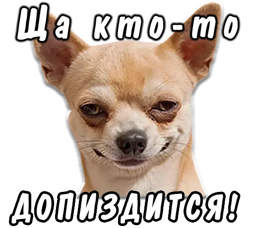 Стикерпак животные для Telegram