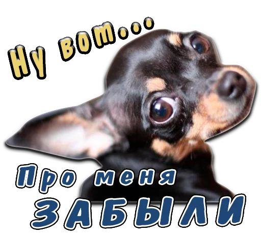 😒 Стикер «животные» для Telegram
