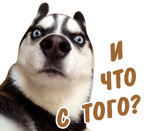 😒 Стикер «животные» для Telegram