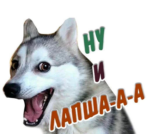 😝 Стикер «животные» для Telegram