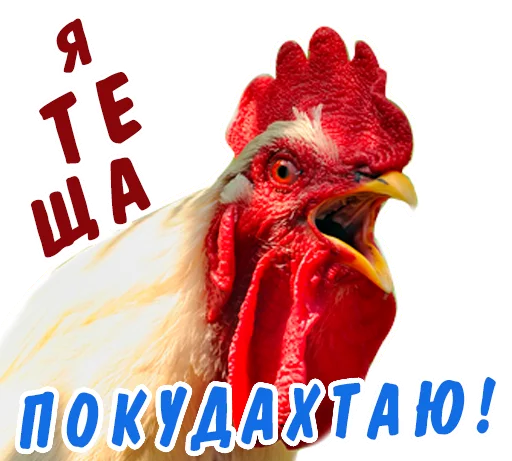 😠 Стикер «животные» для Telegram