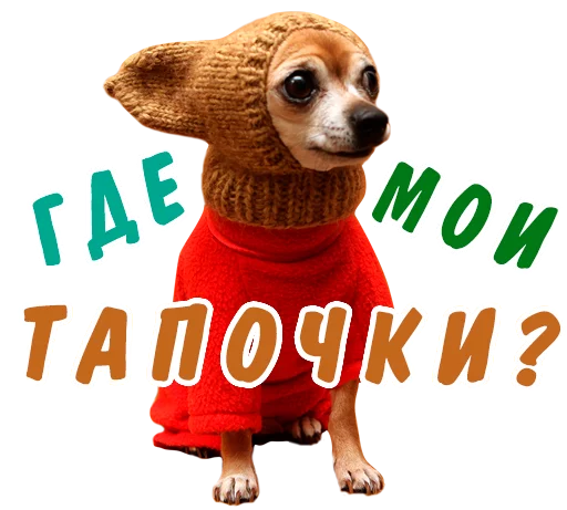 🤔 Стикер «животные» для Telegram