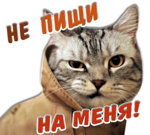 😡 Стикер «животные» для Telegram