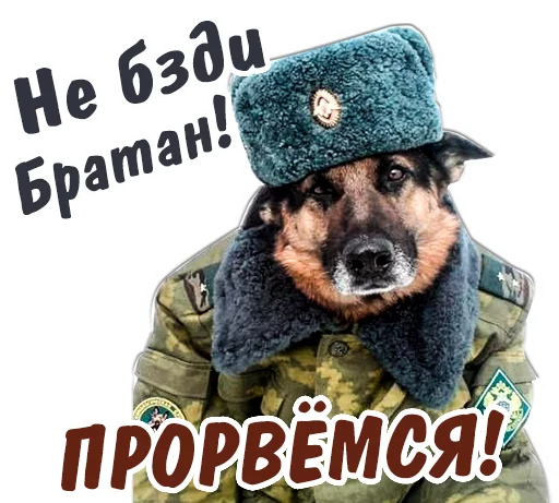 🤘 Стикер «животные» для Telegram