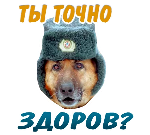 🤒 Стикер «животные» для Telegram