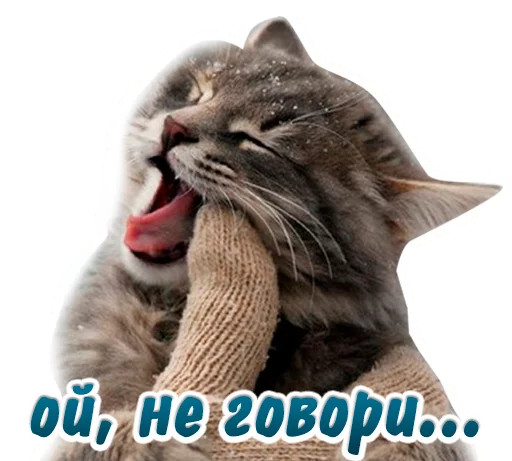 ☺️ Стикер «животные» для Telegram